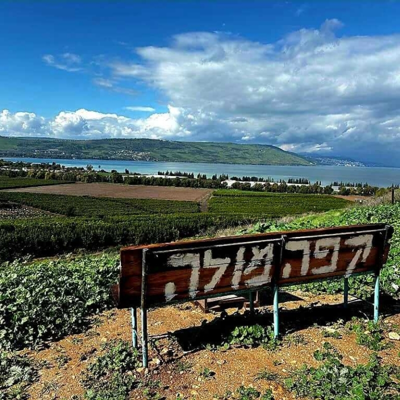 מולה