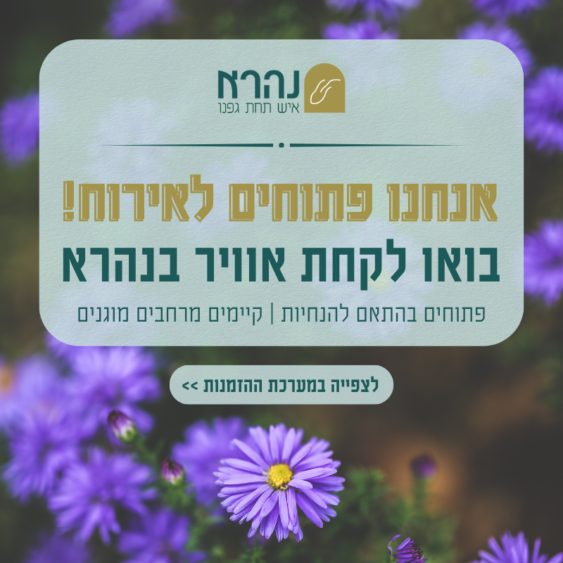 פתוחים לאירוח