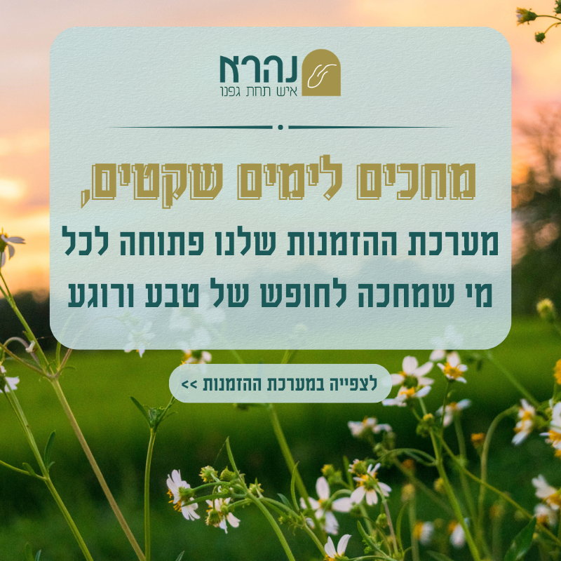 מחכים לימים שקטים- מערכת ההזמנות פתוחה להזמנות עתידיות